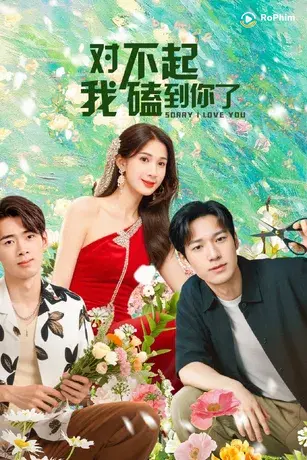 Xin Lỗi, Lỡ Đụng Phải Em Rồi